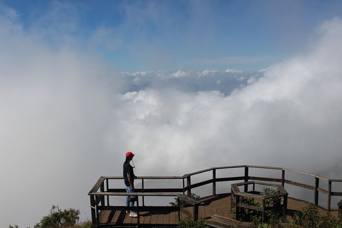 Fantastic! Famous Doi Inthanon National park tour with 2hr trekking - Pha Dok Seaw Waterfall and the Switch Between Trails