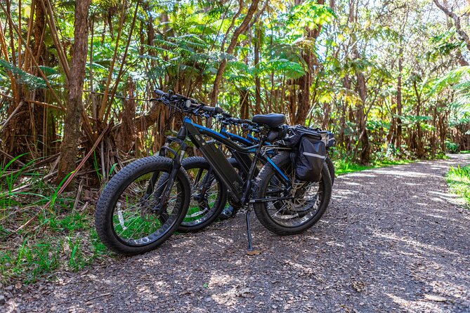 Fat Tire E-Bike Rental - Volcanoes National Park - Price and value: is $125 a fair deal for a bike rental?