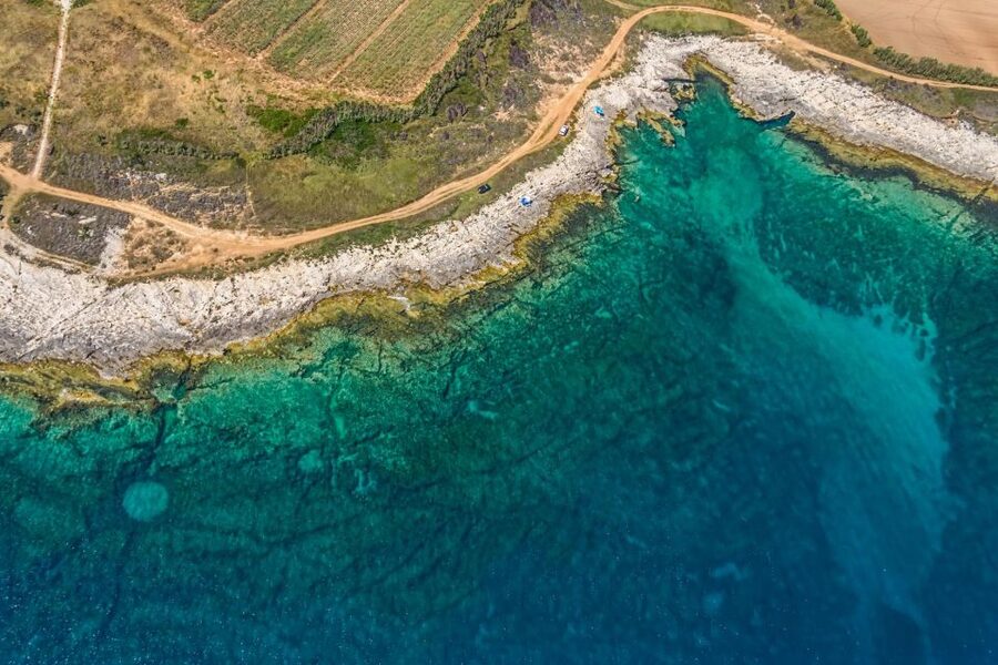 Fazana: Brijuni National Park Scenic Boat Tour - Veliki Brijun and Vila Kastel: The biggest island, first