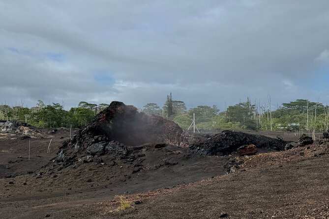 Fissure 8 Tour - Volcanoes National Park and Hilo Discovery - Value check: $229 with admissions and meals