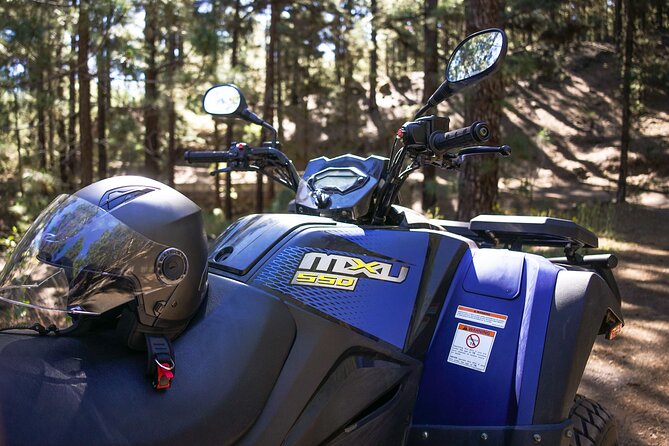 Forest & Off Road National Park Quad Biking Tour - Pickup, Meeting Point, and How Smooth This Usually Feels