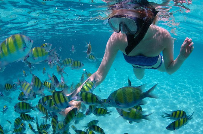 Freeport Snorkeling Peterson Cay National Park and Hotel Day Pass - Gear, Comfort, and Small-Group Energy (Max 15 Travelers)