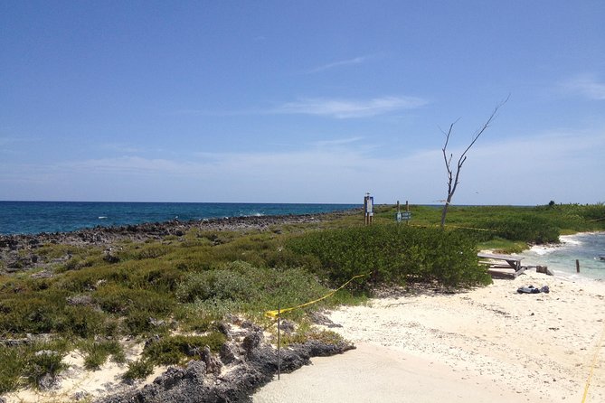 Freeport Snorkeling Peterson Cay National Park and Hotel Day Pass - Food, Water, and Packing Smart