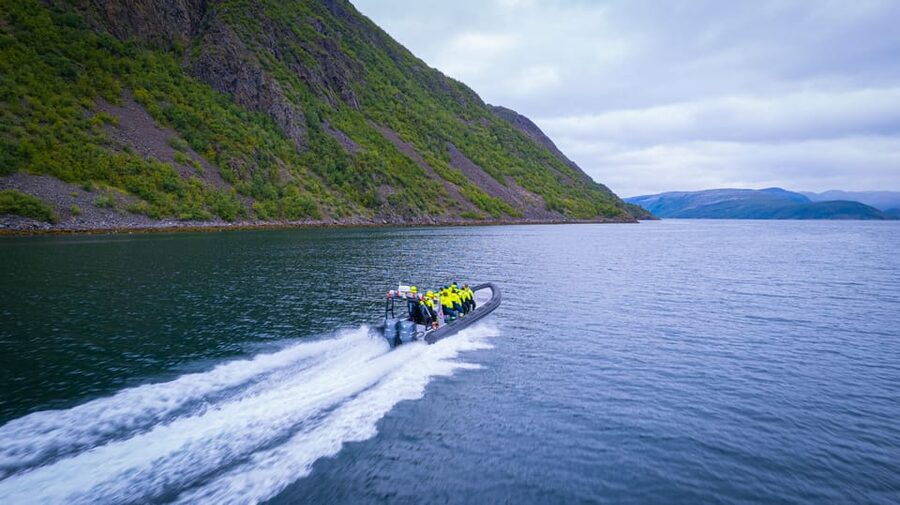 From Alta: Experience Seiland National Park - Bekkarfjord and Seiland’s Nature: Glaciers, Raptors, Seals, and Plant Life