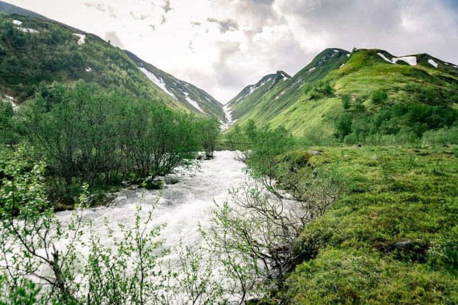 From Alta: Experience Seiland National Park - Should You Book This Seiland Experience?