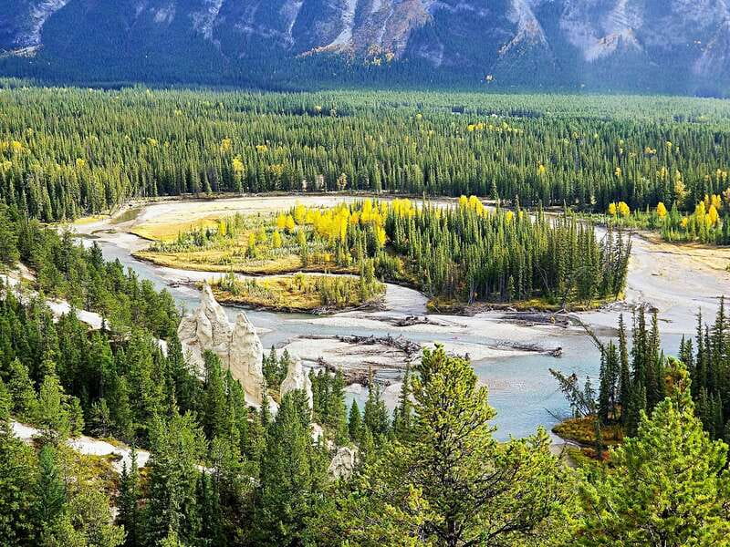 From Banff/Canmore: Deep 1 Day Tour in Banff National Park - Key things to know before you go