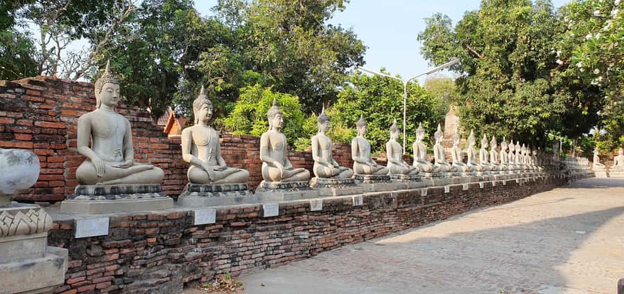 From Bangkok: Ayutthaya & Khao Yai National Park Day Trip - Ayutthaya to Khao Yai: why this day trip is such good value