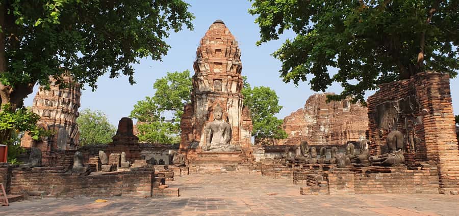 From Bangkok: Ayutthaya & Khao Yai National Park Day Trip - Wat Mahathat and the banyan tree Buddha head: etiquette matters