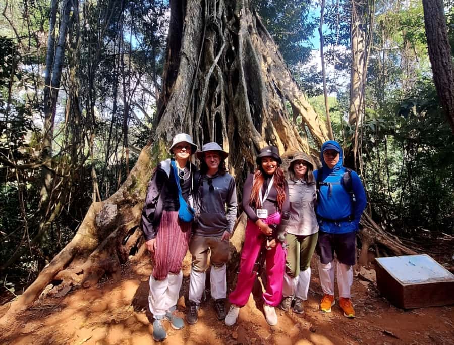 From Bangkok: Khao Yai National Park Jungle Trek with Lunch - Kilometer 30 Viewpoint: A Quick Welcome to Khao Yai