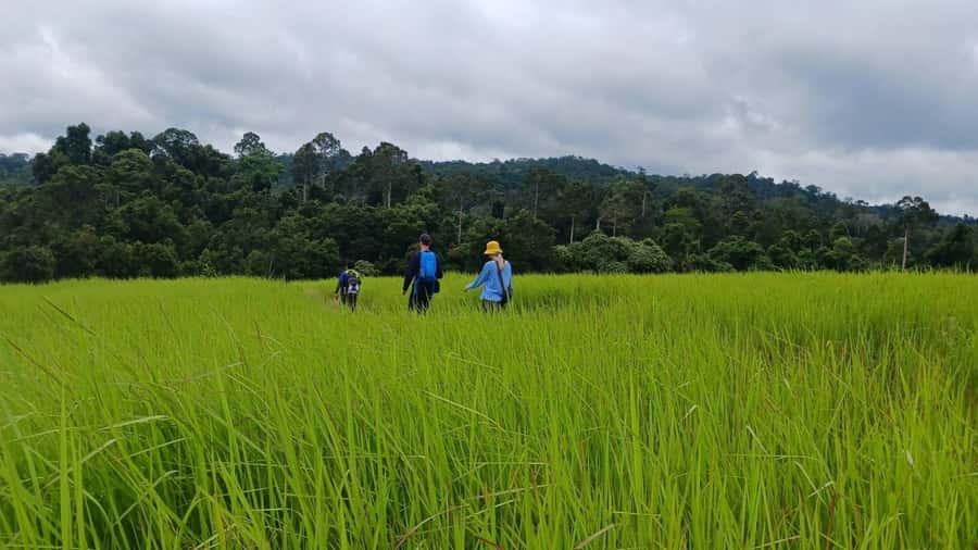 From Bangkok: Khao Yai National Park Jungle Trek with Lunch - Hotel-to-Lunch Stop: Wanali Restaurant and Real Thai Menu Choices