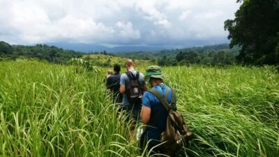 From Bangkok: Khao Yai National Park Jungle Trek with Lunch - The 2.5-Hour Nong Phak Chi Trail: Jungle Walking With Wildlife Odds