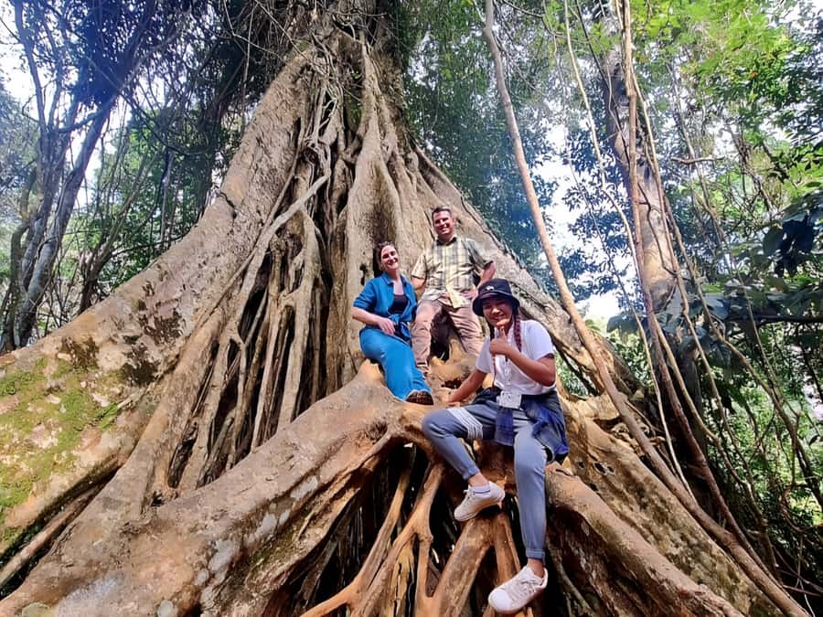 From Bangkok: Khao Yai National Park Jungle Trek with Lunch - Khao Yai Visitor Centre: Why the Learning Stop Helps