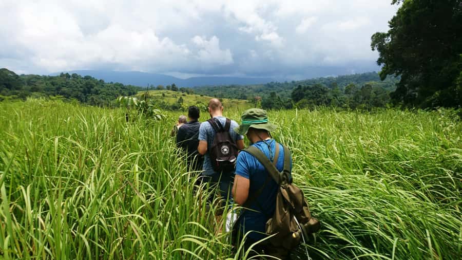 From Bangkok: Khao Yai National Park Jungle Trek with Lunch - The 2.5-Hour Nong Phak Chi Trail: Jungle Walking With Wildlife Odds