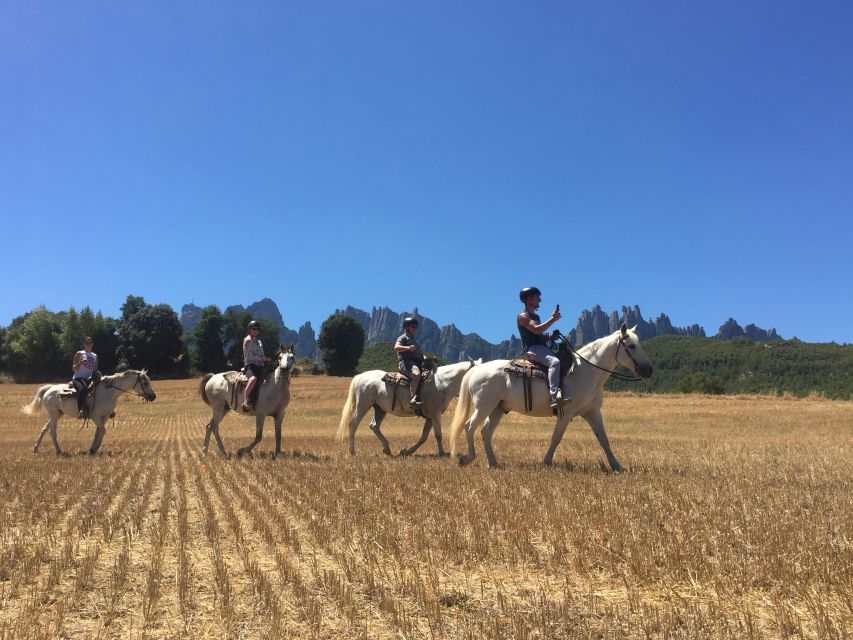From Barcelona: Horseback Tour in Montserrat National Park - Montserrat Abbey First: The Architecture and the Virgin of Montserrat