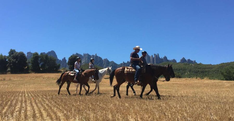 From Barcelona: Horseback Tour in Montserrat National Park - Shopping at the Local Market: Regional Products, Not Souvenirs