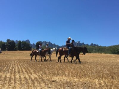 From Barcelona: Horseback Tour in Montserrat National Park - The Monastery Visit and Guided Time: What You’re Getting for the Clock