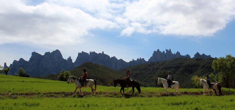 From Barcelona: Horseback Tour in Montserrat National Park - What to Bring (and What to Skip) for an Easy Day
