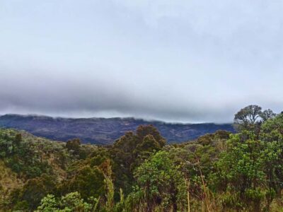 From Bogotá: Chingaza National Park Eco Tour - A 7:00 AM start from Bogotá you’ll actually feel good about