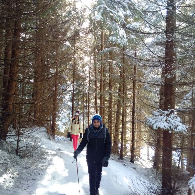 From Brasov: Piatra Craiului National Park Private Day Tour - Key things that make this hike worth your time