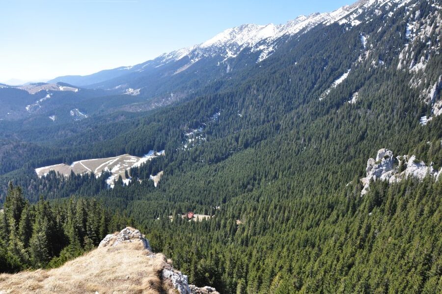 From Brasov: Piatra Craiului National Park Private Day Tour - Should you book this Brașov-to-Piatra Craiului trek?