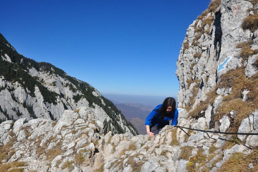 From Brasov: Piatra Craiului National Park Private Day Tour - Zărnești Gorge and the main ridge: the views that justify the work
