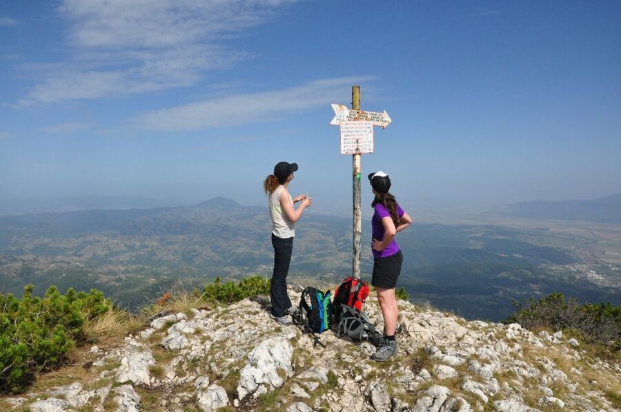 From Brasov: Piatra Craiului National Park Private Day Tour - Price and value: why $111 can be a smart deal