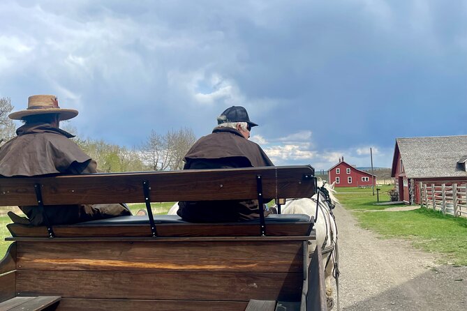 From Calgary to Waterton National Park Nature History and Wonders - Bison Paddock Loop Road: your best shot for the big animals