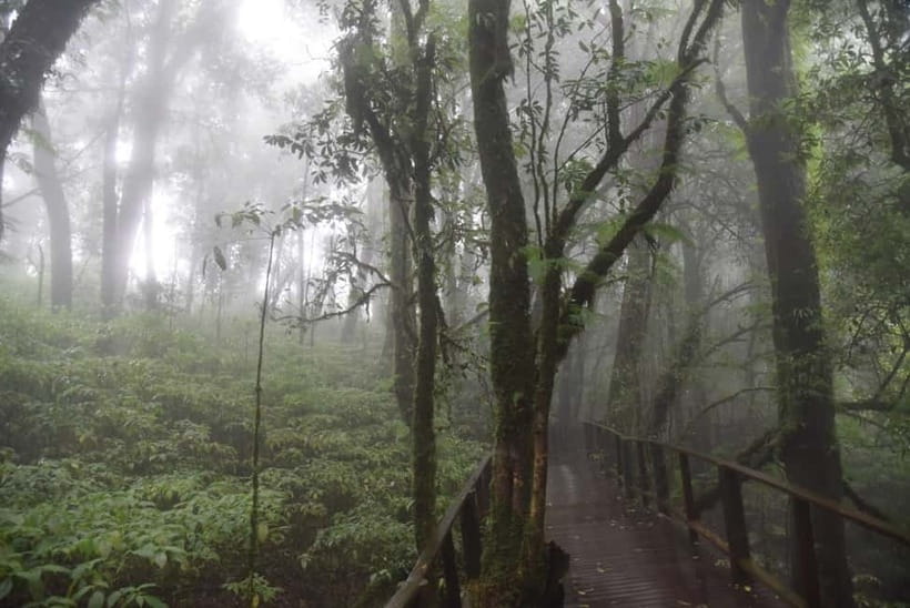 From Chiang Mai: Doi Inthanon National Park Day Trip - Why Doi Inthanon Works So Well as a One-Day Trip