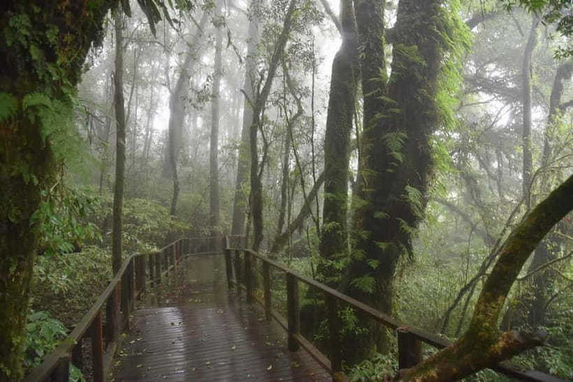 From Chiang Mai: Doi Inthanon National Park Day Trip - Thailand’s Highest Point: Memorial Shrine and First Nature Steps