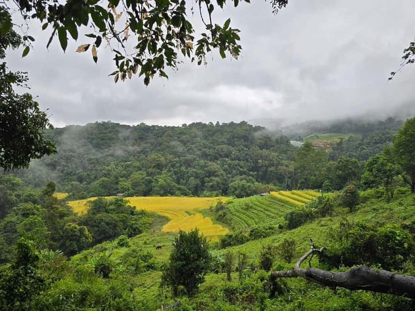 From Chiang Mai: Doi Inthanon National Park Day Trip - Twin Pagodas for Panoramic Views and Calm Gardens