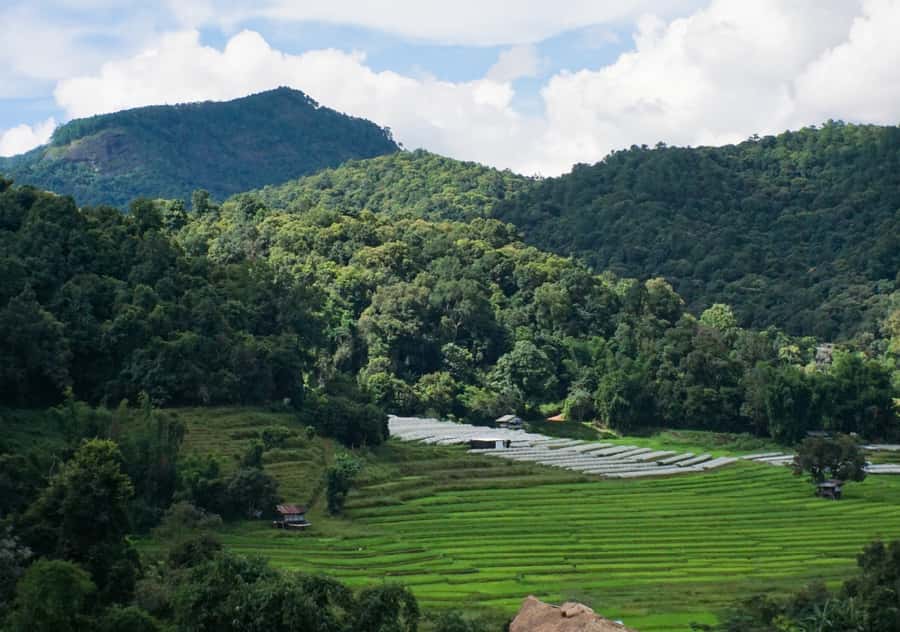 From Chiang Mai: Doi Inthanon National Park Day Trip & Hike - Lunch at Royal Project: Fueling Your Afternoon Hike