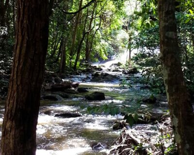 From Chiang Mai: Doi Inthanon National Park Day Trip & Hike - Twin Pagodas and the Hmong Market: Royal Buddhism Meets Local Life