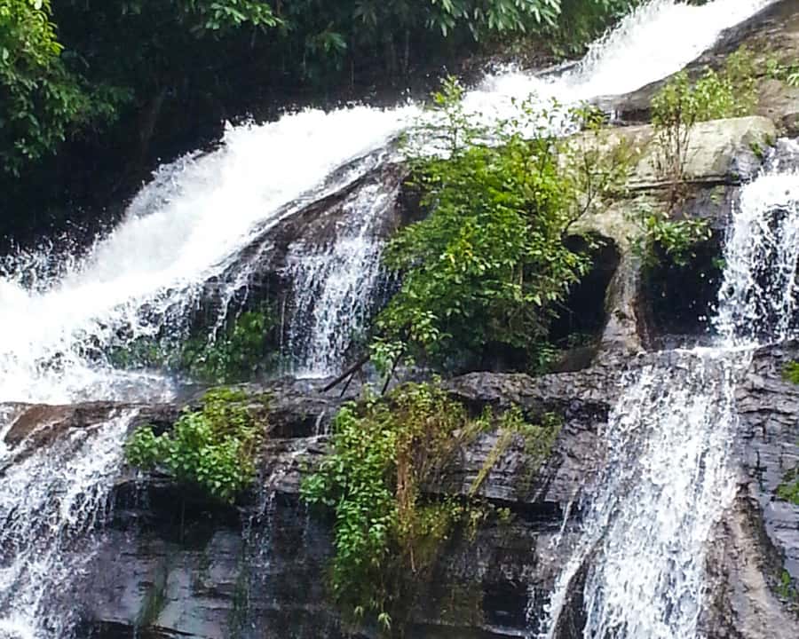 From Chiang Mai: Doi Inthanon National Park Day Trip & Hike - The 2-Hour Pha Dok Siew Nature Trail Hike: Rice Terraces and Shaded Jungle