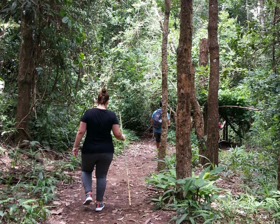 From Chiang Mai: Doi Inthanon National Park Day Trip & Hike - Karen Hill Tribe Village: Coffee, Stories, and a Slower Moment