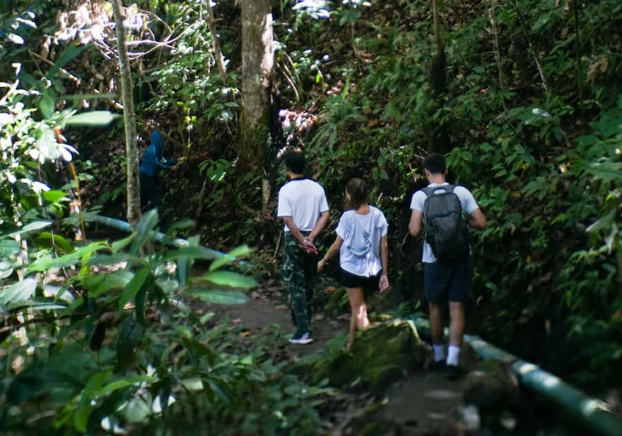 From Chiang Mai: Doi Inthanon National Park Day Trip & Hike - Transport, Timing, and Small-Group Feel From Start to Finish