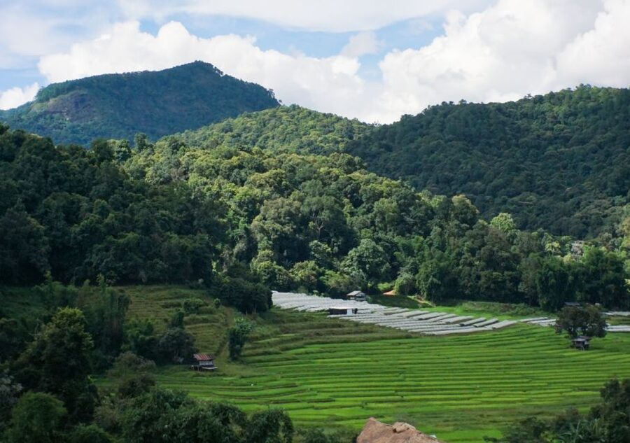 From Chiang Mai: Doi Inthanon National Park Day Trip & Hike - Price and Value: What You’re Really Paying For