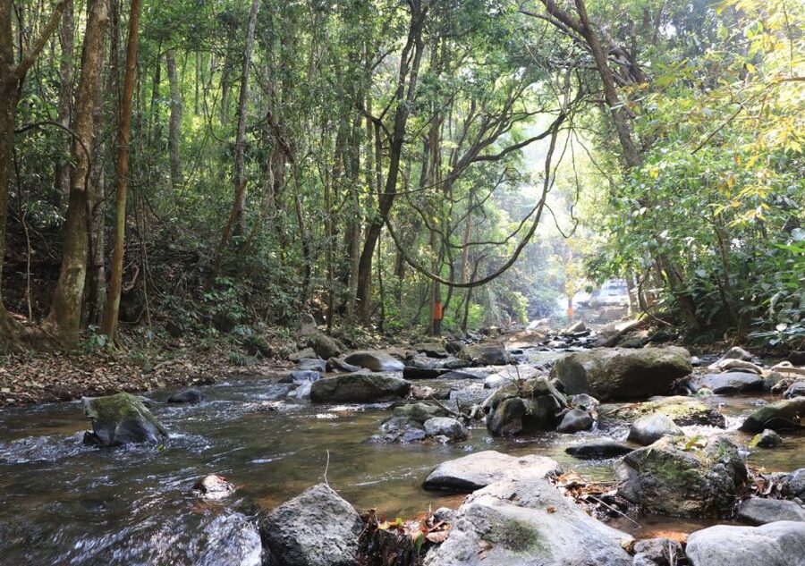 From Chiang Mai: Doi Inthanon National Park Hiking Tour - Key takeaways before you go