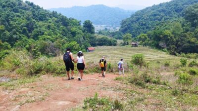 From Chiang Mai: Doi Inthanon National Park Hiking Tour - From hotel pickup to getting oriented inside the park