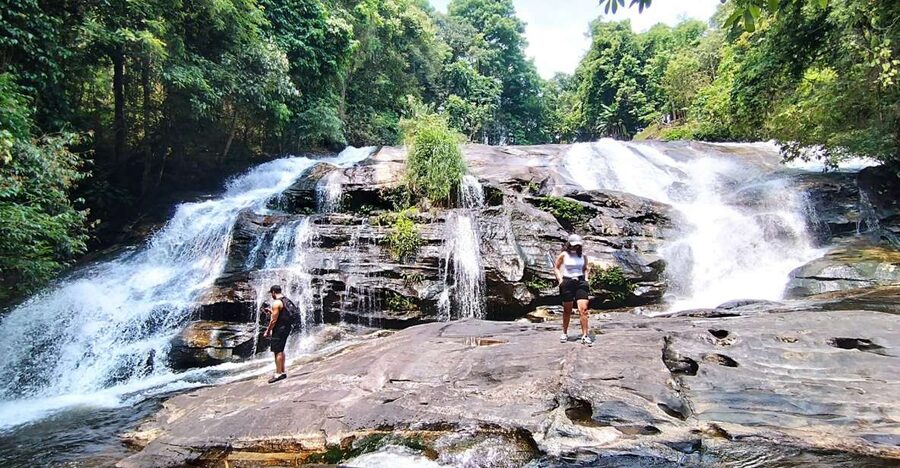 From Chiang Mai: Doi Inthanon National Park Hiking Tour - Pine restoration, forest valleys, and the 4 km nature trail