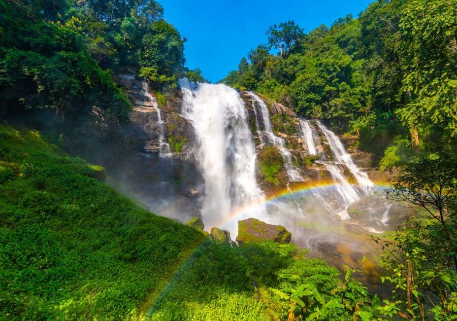 From Chiang Mai: Doi Inthanon National Park Hiking Tour - Wildlife spotting without turning it into a chase