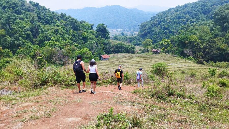 From Chiang Mai: Doi Inthanon National Park Hiking Tour - From hotel pickup to getting oriented inside the park