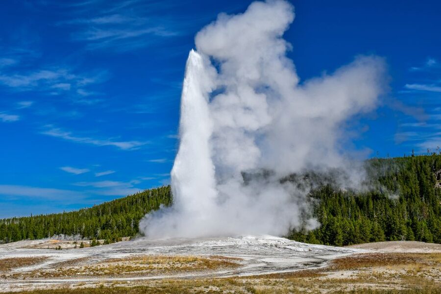 From Cody: Full-Day Yellowstone National Park Tour - Hayden Valley: Wildlife Chances That Make the Day Feel Like It’s Working