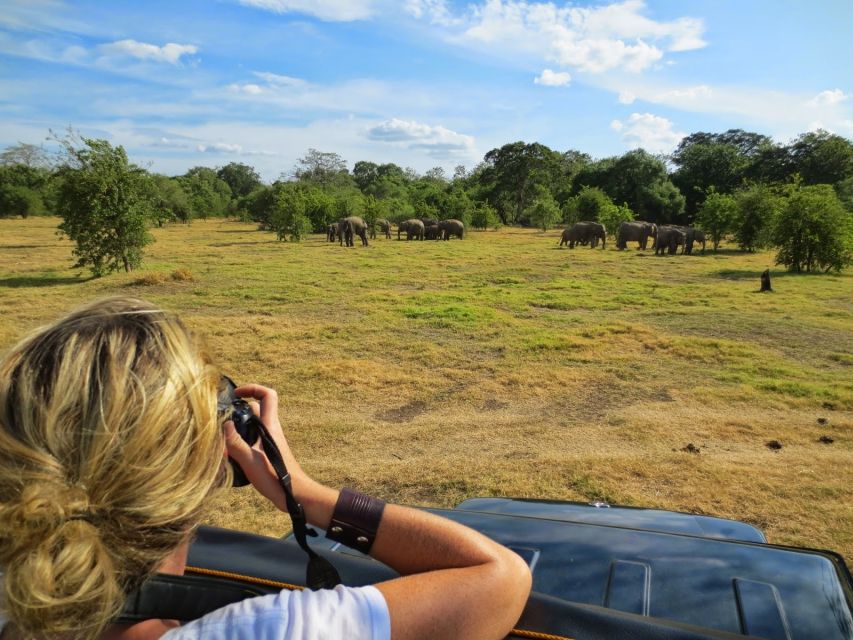 From Colombo: Private Minneriya National Park Day Safari - The lunch stop: what you get and what you pay for