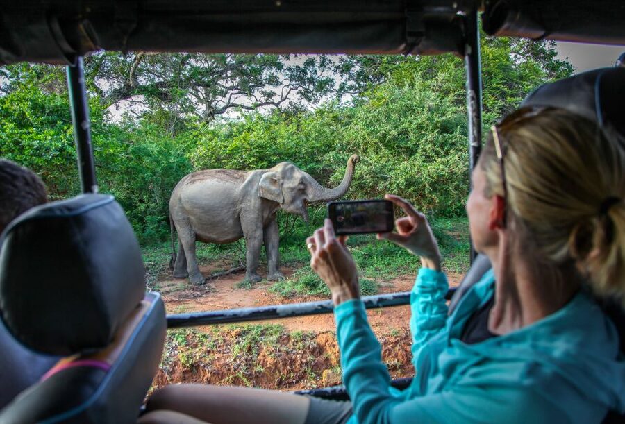 From Colombo : Yala National Park Safari With Tickets - Common issues to watch for before you go