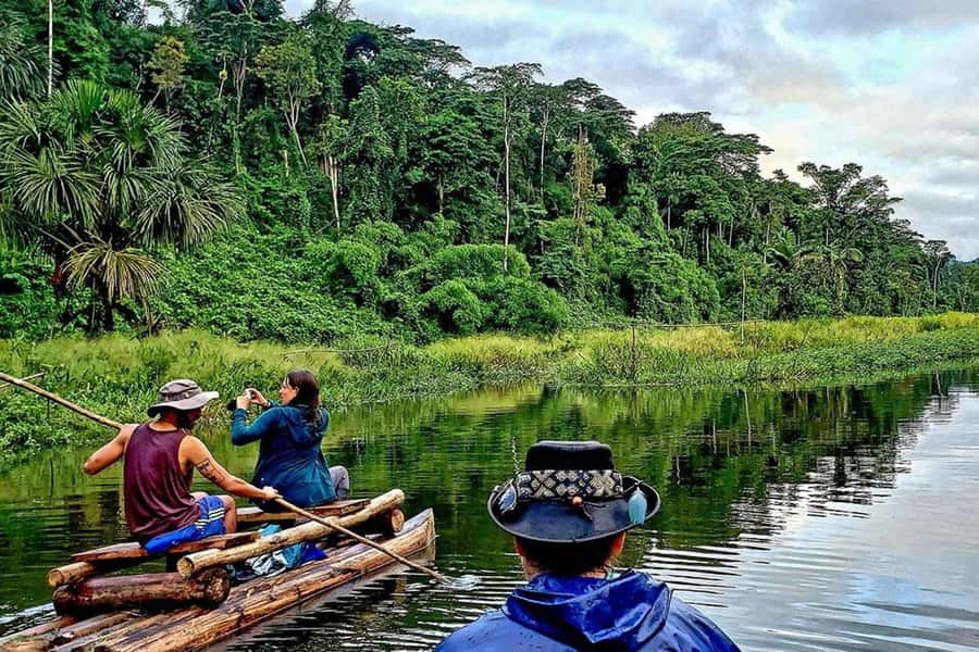 From Cusco: 4-Day Manu National Park Guided Tour - Price ($427) and value: what you’re buying besides wildlife photos