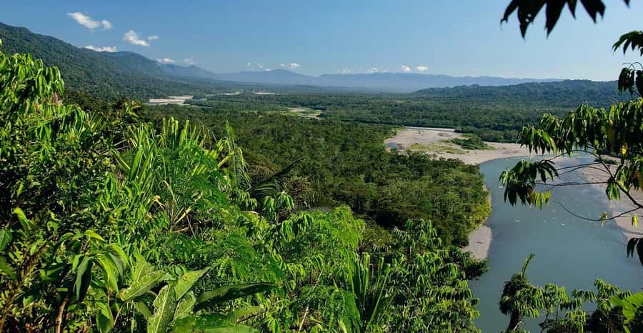 From Cusco: Manu National Park 3 Day Tour - Price and Value: What $370 Covers (and What It Doesn’t)