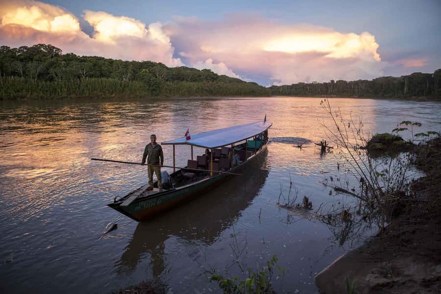 From Cusco: Manu National Park 3 Day Tour - Wildlife Highlights: What You’re Most Likely to See