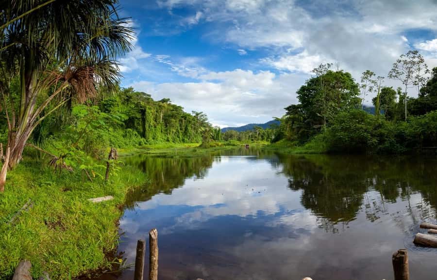From Cusco: Manu National Park Tour & Accommodation 3 Days - Day 3: lodge garden plant lessons and the return to Cusco