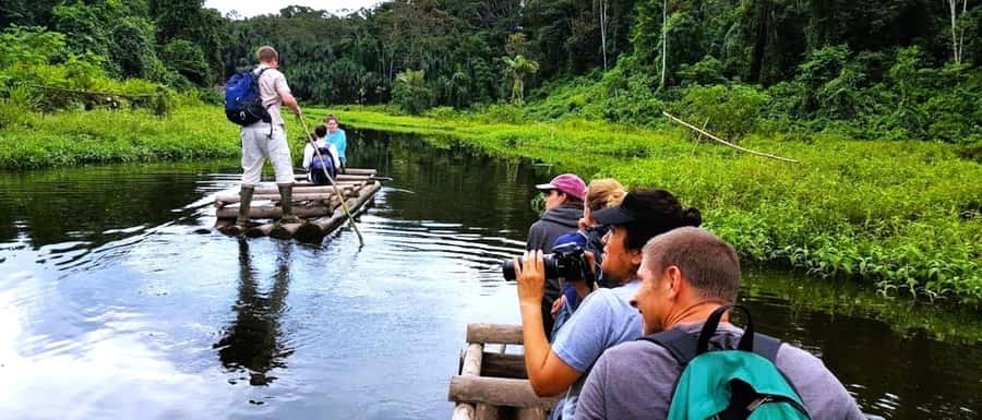 From Cusco: Manu National Park Tour & Accommodation 3 Days - Day 1: Cusco, Paucartambo, and the cloud forest to Basic Hostel