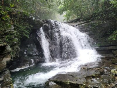 From Da Nang or Hoi An: Bach Ma National Park Trek & Lunch - Ngu Ho (Five Lakes): the swimming stop that gives the trek a payoff
